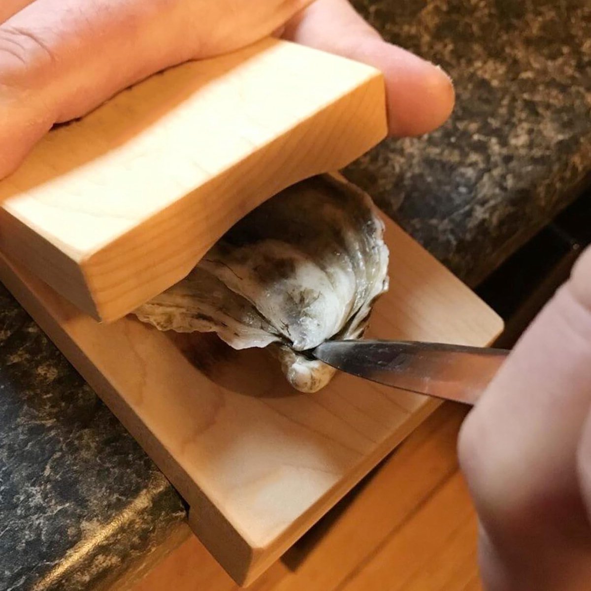 Oesterschiller | Houten Oesterhouder voor het schillen | Ergonomische Zeevruchtenhouten Schilptang | Draagbare Oesterschilferclipset, M Fruit Gereedschap
