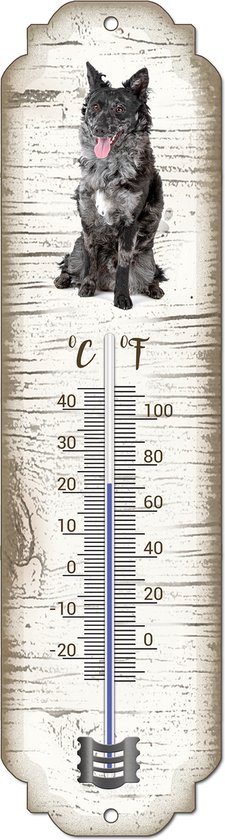 Thermomètre vertical avec échelle Celsius et Fahrenheit et un chien Mudi en haut.