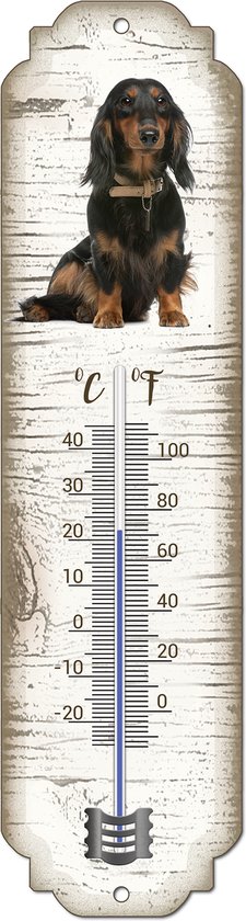 Thermomètre avec illustration d'un teckel à poil long sur fond en bois blanchi, avec graduation en C et F.