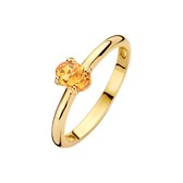 Blush Dames Ring Goud - Goud - 17.75 mm / maat 56