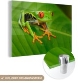 MuchoWow® Peinture sur verre 90x60 cm - Peinture sur verre acrylique - Grenouille - Feuille - Vert - Photo sur verre - Peintures