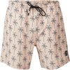 Brunotti Darmin Heren Zwem Short - Zwembroek - Bruin - L