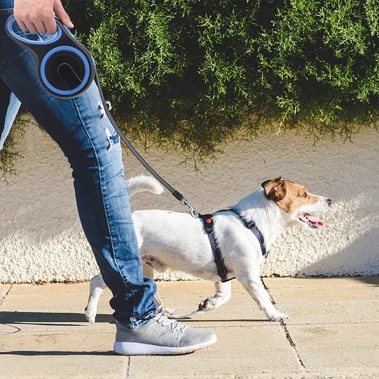 Multifunctionele intrekbare hondenriem 6in1 rollijn voor honden - Dierenriemen kopen? | Korting tot 37