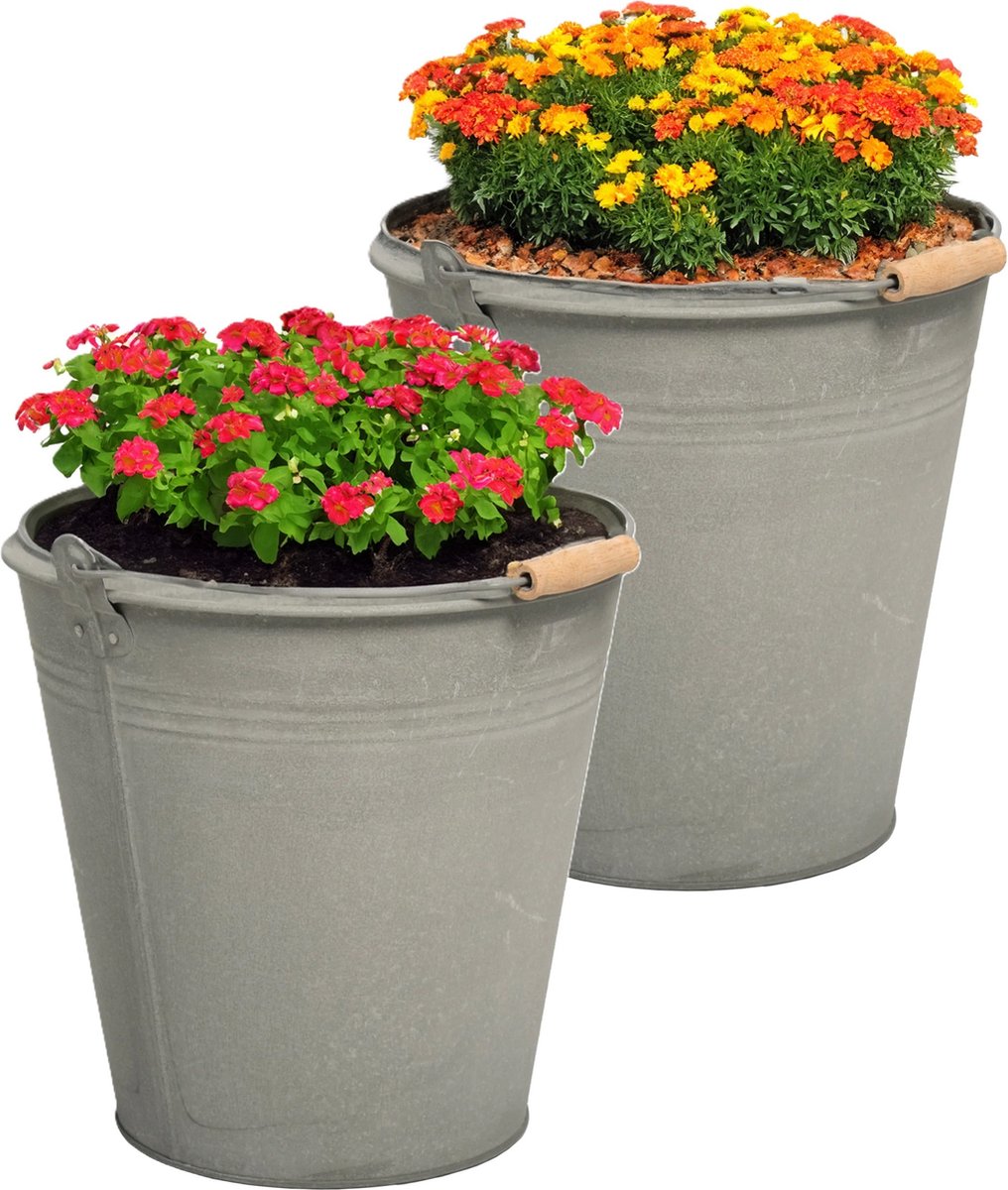 Goedkoopste Mega Collections Emmer/plantenpot/bloempot Eddy - 2x - zink - zilver - D30 X H29 cm