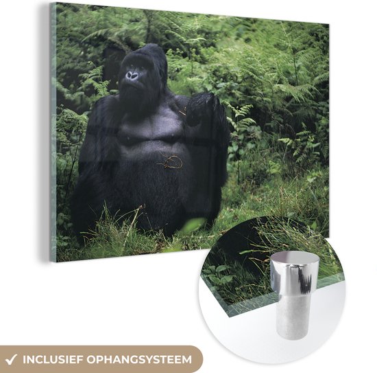 MuchoWow® Glasschilderij 120x80 cm - Schilderij acrylglas - Een enorme Gorilla in een groen regenwoud - Foto op glas - Schilderijen