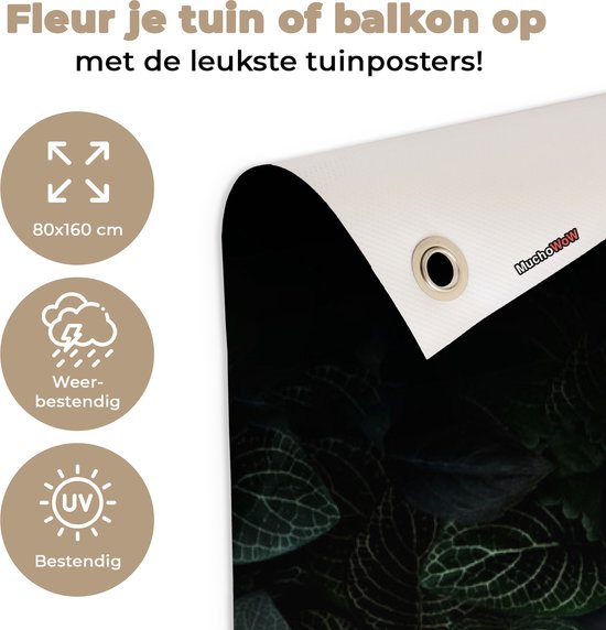 Tuinposter 80x160 cm - Tuindecoratie Schotse hooglander - Dier - Flora - Poster voor in de tuin - Buiten decoratie - Schutting tuinschilderij - Tuindoek muurdecoratie - Wanddecoratie balkondoek