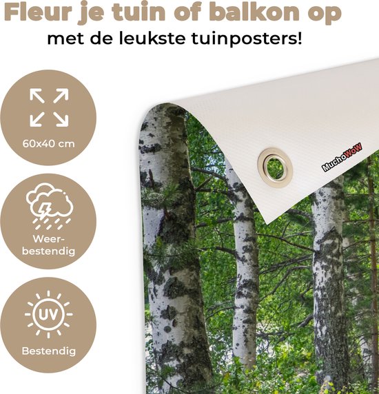 Tuindecoratie Bos - Bomen - Berk - 60x40 cm - Tuinposter - Tuindoek - Buitenposter