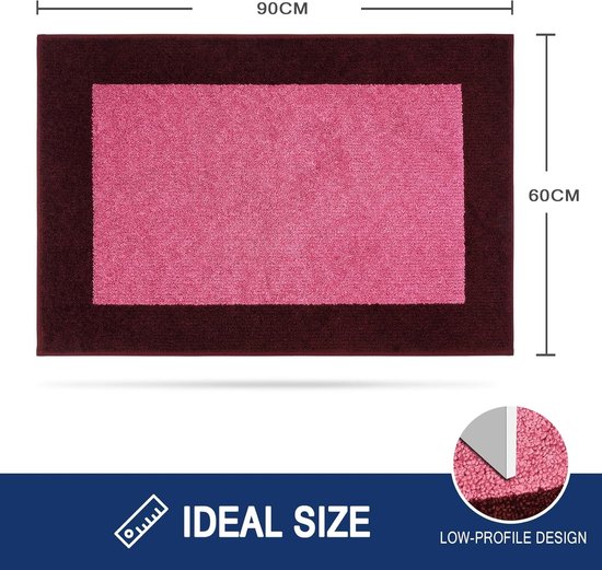 Mat Binnen 60 x 90 cm, Antislip Deurmat, Wasbare Deurmat voor Hond, Entree, Voordeur