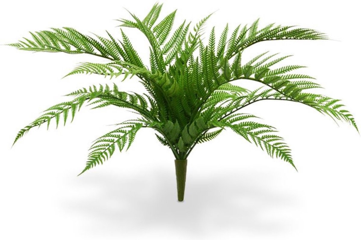 maxifleur Kunstplanten Alsophilla Varen kunstplant 60cm - UV bestendig Groen