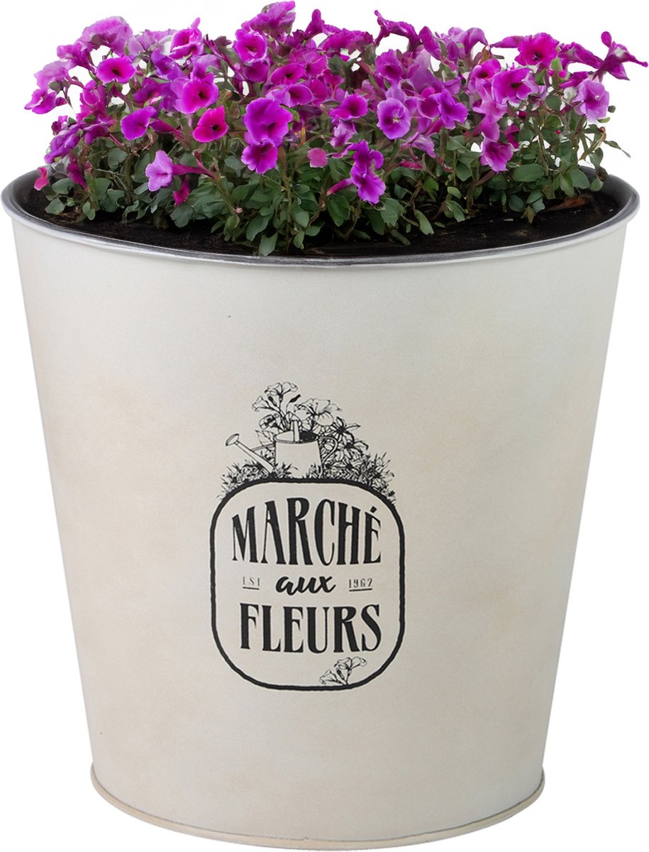 Goedkoopste Sunnydays Emmer/plantenpot/bloempot - zink - ivoorwit - D23 x H22 cm