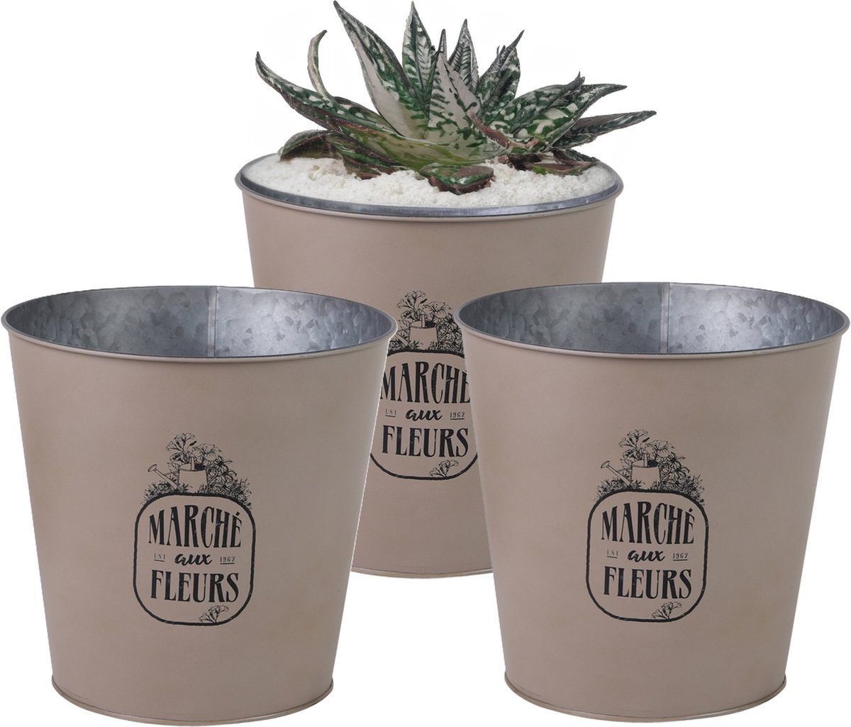 Goedkoopste Sunnydays Emmer/plantenpot/bloempot - 3x - zink - taupe - D23 x H22 cm