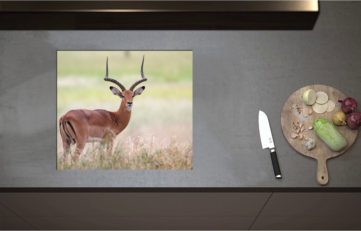 Inductieplaat Beschermer - Aankijkende Impala lopend door Groene Grassen - 57x50 cm - 2 mm Dik - Inductie Beschermer - Bescherming Inductiekookplaat - Kookplaat Beschermer van Zwart Vinyl