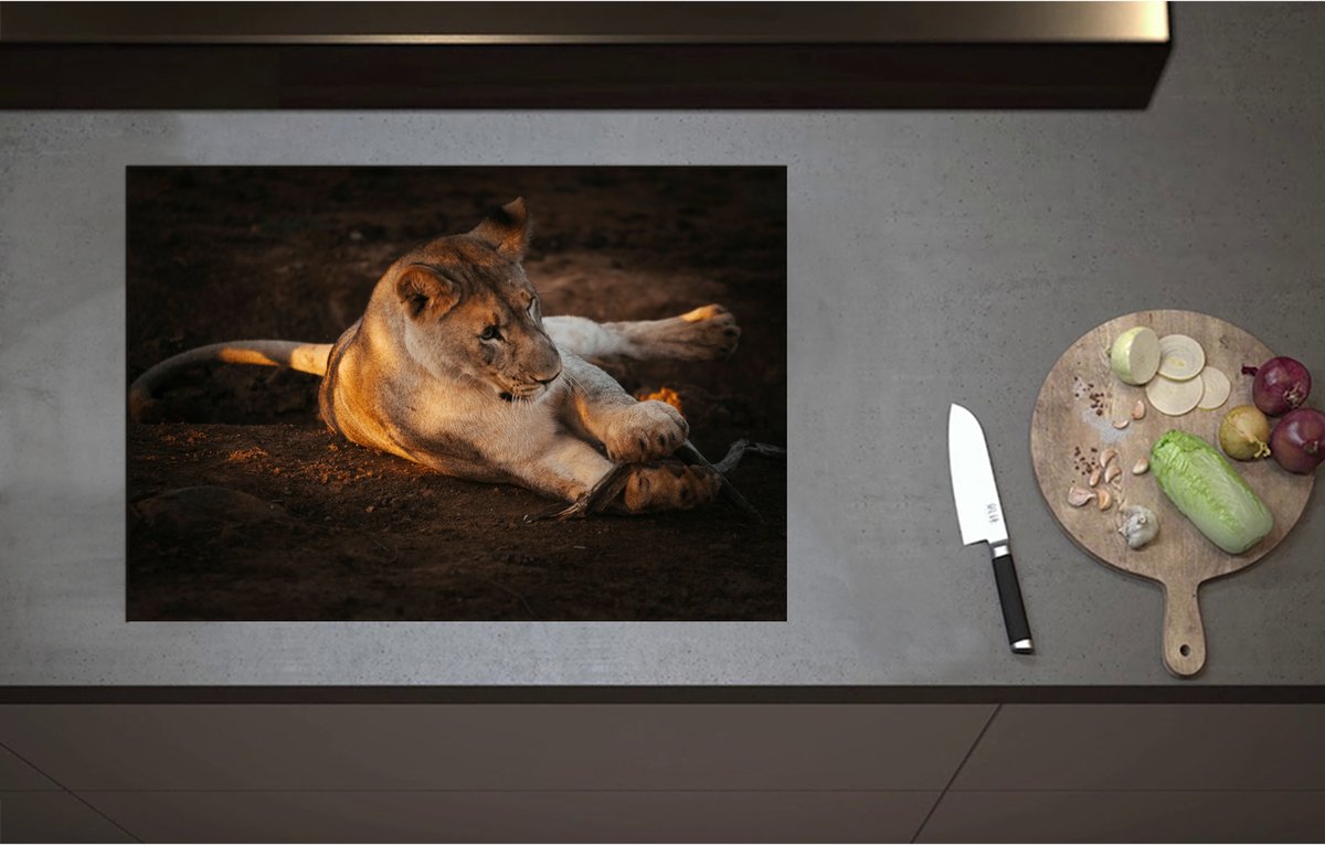 Inductieplaat Beschermer - Afrikaanse Vrouwtjes Leeuw Spelend met Stok - 75x52 cm - 2 mm Dik - Inductie Beschermer - Bescherming Inductiekookplaat - Kookplaat Beschermer van Zwart Vinyl