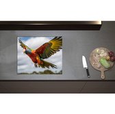 Inductieplaat Beschermer - Ara papegaai vliegt rond over bomen heen - 59x50 cm - 2 mm Dik - Inductie Beschermer - Bescherming Inductiekookplaat - Kookplaat Beschermer van Wit Vinyl