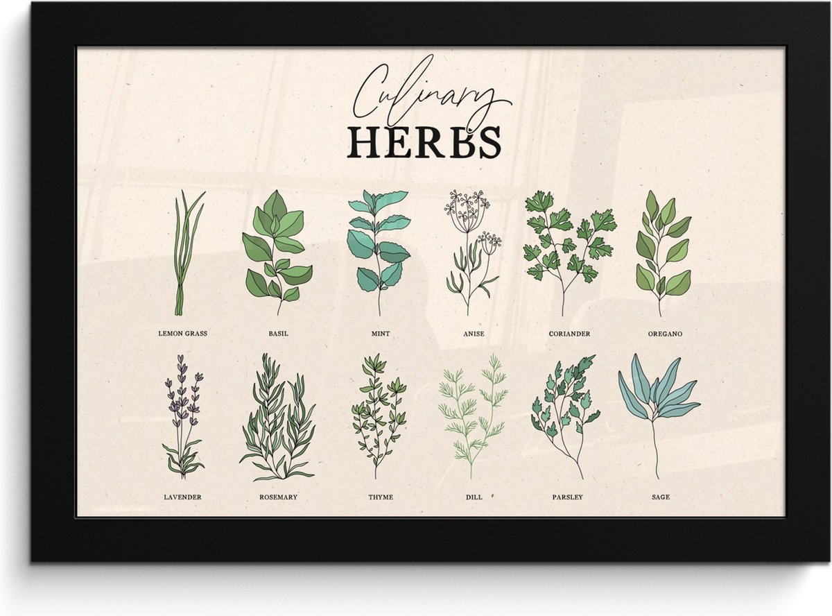 FrameYourWall Fotolijst inclusief poster - Posterlijst 30x20 cm - Posters - Kruiden - Planten - Herbs - Groen - Vintage - Foto in lijst - Keuken decoratie muur - Wanddecoratie accessoires - Muurdecoratie - Schilderijen Kruiden - Overzicht