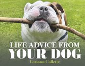 Life Advice From Your Dog