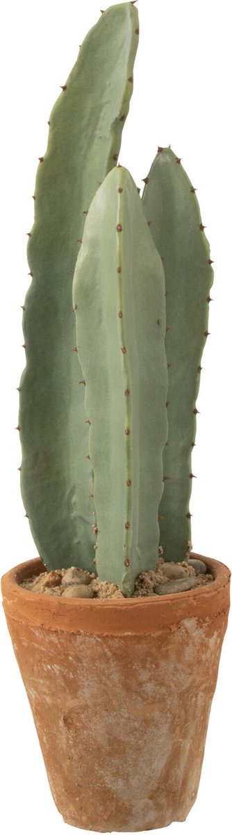 J-Line plant Cactus 3 Stuks In Pot - kunststof - groen - small