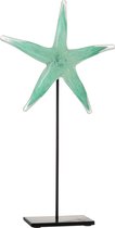 J-Line Starfish On Foot Glas/ Fer Azure / Zwart Large