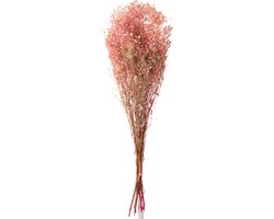 J-Line droogbloemen - Bundel Gypsophilia Gedroogd - riet - roze