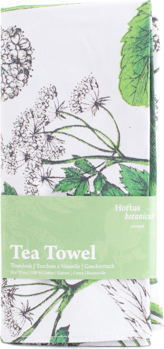 Theedoek, Zevenblad, Hortus Botanicus