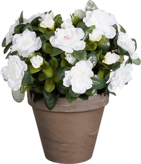 Mica Decorations Plante d'azalée artificielle en pot Stan - H31 x Ø26 cm - Wit