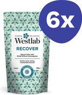 Westlab Recover Badzout (6x 1kg)