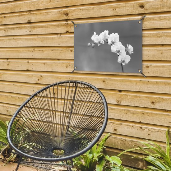 Décoration de jardin Orchidée - Fleurs - Plante - Wit - Violet - 60x40 cm - Poster jardin - Toile jardin - Poster extérieur