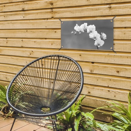 Poster de jardin Orchidée - Fleurs - Plante - Wit - Violet - 60x30 cm - Toile jardin - Poster extérieur