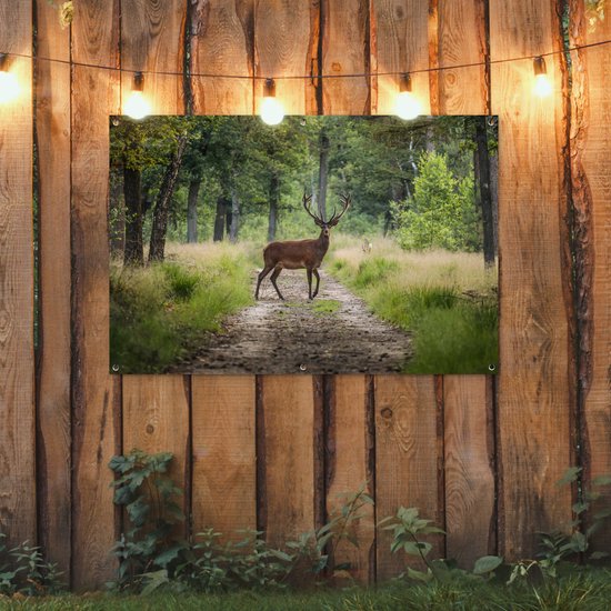 Affiche de jardin Forêt - Cerf - Arbres - 120x80 cm - Jardin