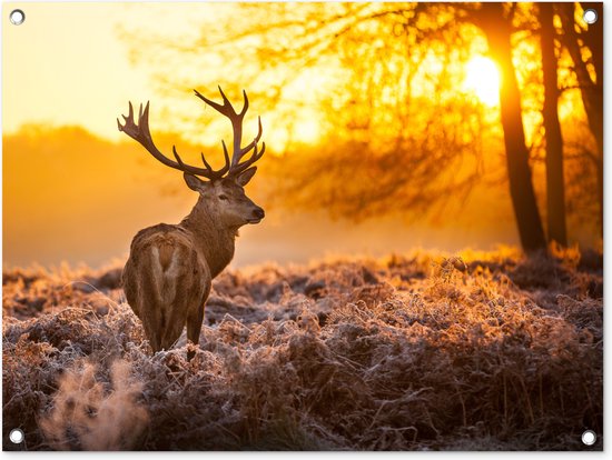 Tuinschilderij Hert - Dieren - Zonsondergang - Winter - Heide - Natuur - 80x60 cm - Tuinposter - Tuindoek - Buitenposter