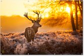 Muurdecoratie Hert - Dieren - Zonsondergang - Winter - Heide - Natuur - 180x120 cm - Tuinposter - Tuindoek - Buitenposter