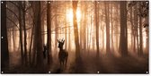 Schuttingposter Bos - Hert - Zon - Bomen - Winter - Natuur - Dieren - 200x100 cm - Tuindoek