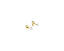 Mint15 Klassieke oorknopjes - Oorstekers studs met steentje 3mm - Goudkleur RVS/Stainless Steel