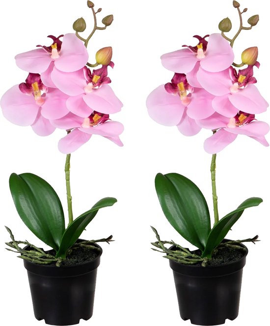 Louis Maes Orchidee bloemen kunstplant op plug - 2x - bloemen/bloemetjes - roze/groen - H33 cm