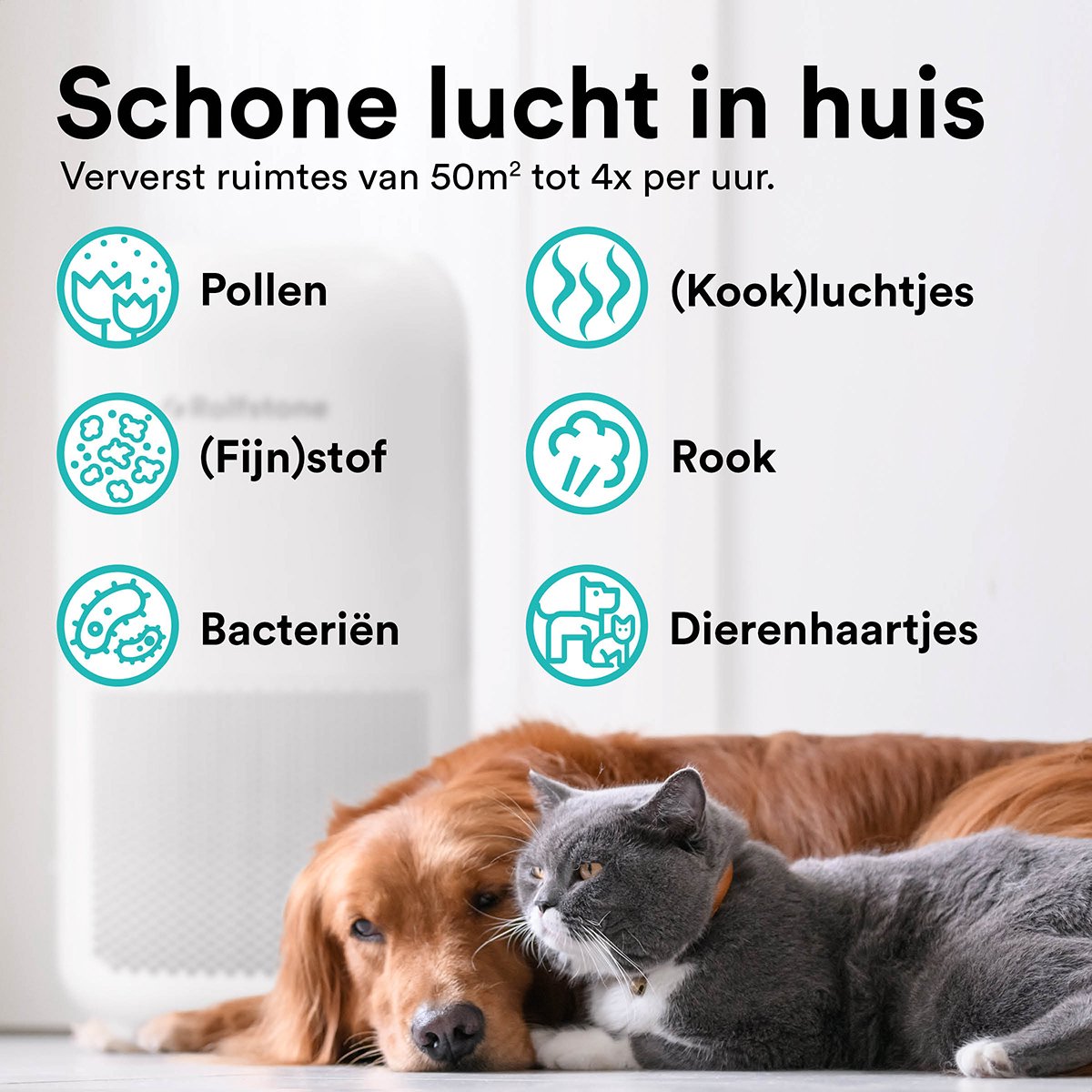 Rolfstone Air Balance XL Luchtreiniger – HEPA 13 + koolstoffilter – CADR 460 m³/u – Voor ruimtes tot 144 m² – Vermindert stof en pollen – 3 standen + turbo + slaapstand + automatische stand – Luchtkwaliteitsindicator — afbeelding 2