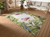 Flycarpets Flair Tapis Intérieur & Extérieur Flamingo Tropical - Multi - 160x235 cm