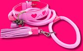 DWAM Dog with a Mission Dog Leash – Riem pour chiens – Rose – Polyester/ Cuir – L – 155 x 1,4 cm – Sweety