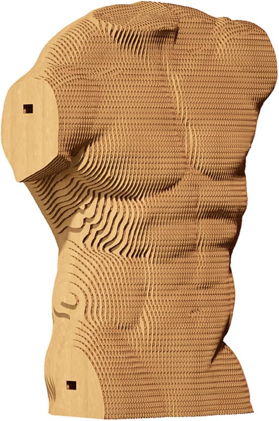 Cartonic - Puzzle Sculpture 3D Torse Masculin