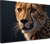 Cheetah schilderijen - Dier portret - Schilderijen canvas Vacht - Landelijk schilderij - Schilderijen canvas - Kunstwerken schilderij 70x50 cm