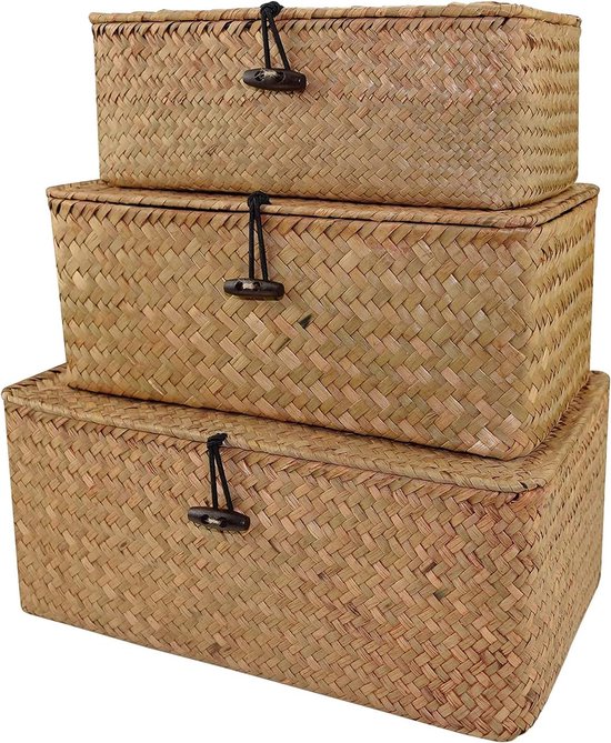 Rieten Mand Rechthoekig 60x42 cm – Stevige Opbergmand van Wilg in Landelijke Stijl - Home Sweet Home Online Rieten Mand Rechthoekig 60x42 cm – Stevige Opbergmand van Wilg in Landelijke Stijl - Home Sweet Home Online