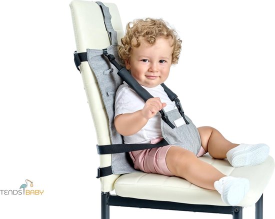 Draagbare kinderstoel voor baby's - kinderstoel en zitverhoger met newborn-bevestiging - opvouwbaar en bruikbaar vanaf de geboorte - comfort- en veiligheidsgordel om aan tafel te eten - geschikt vanaf 6 maanden van Chicco — afbeelding 3