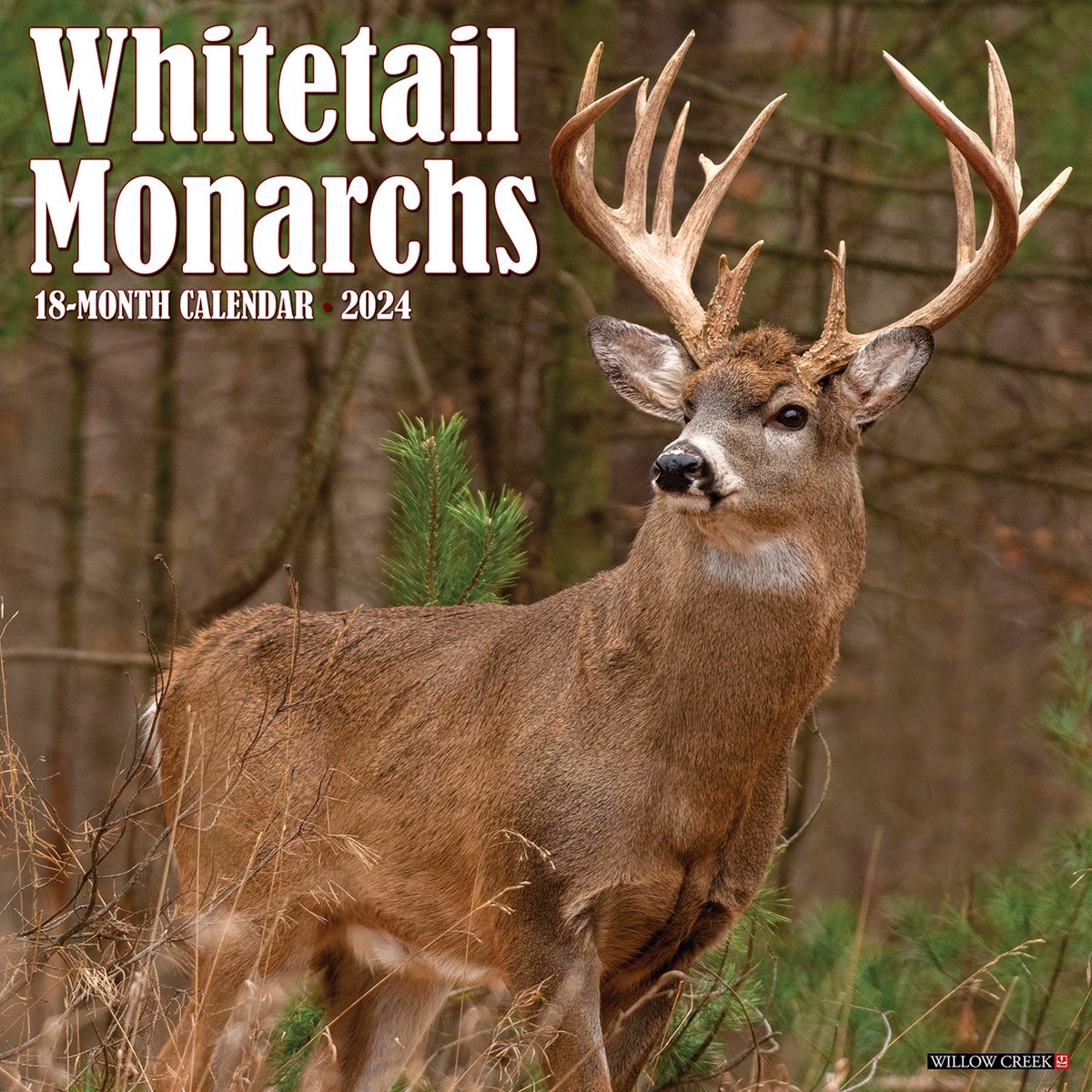 Whitetail Monarchs Kalender 2024