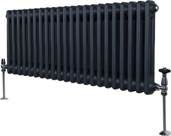 Traditionele 2 Kolom Radiator - 300 x 1012mm - Antraciet Grijs | bol