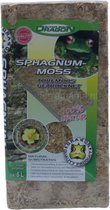 Dragon Sphagnum Moss 100g - Gedroogd Terrarium mos - Bio-active terrariums
