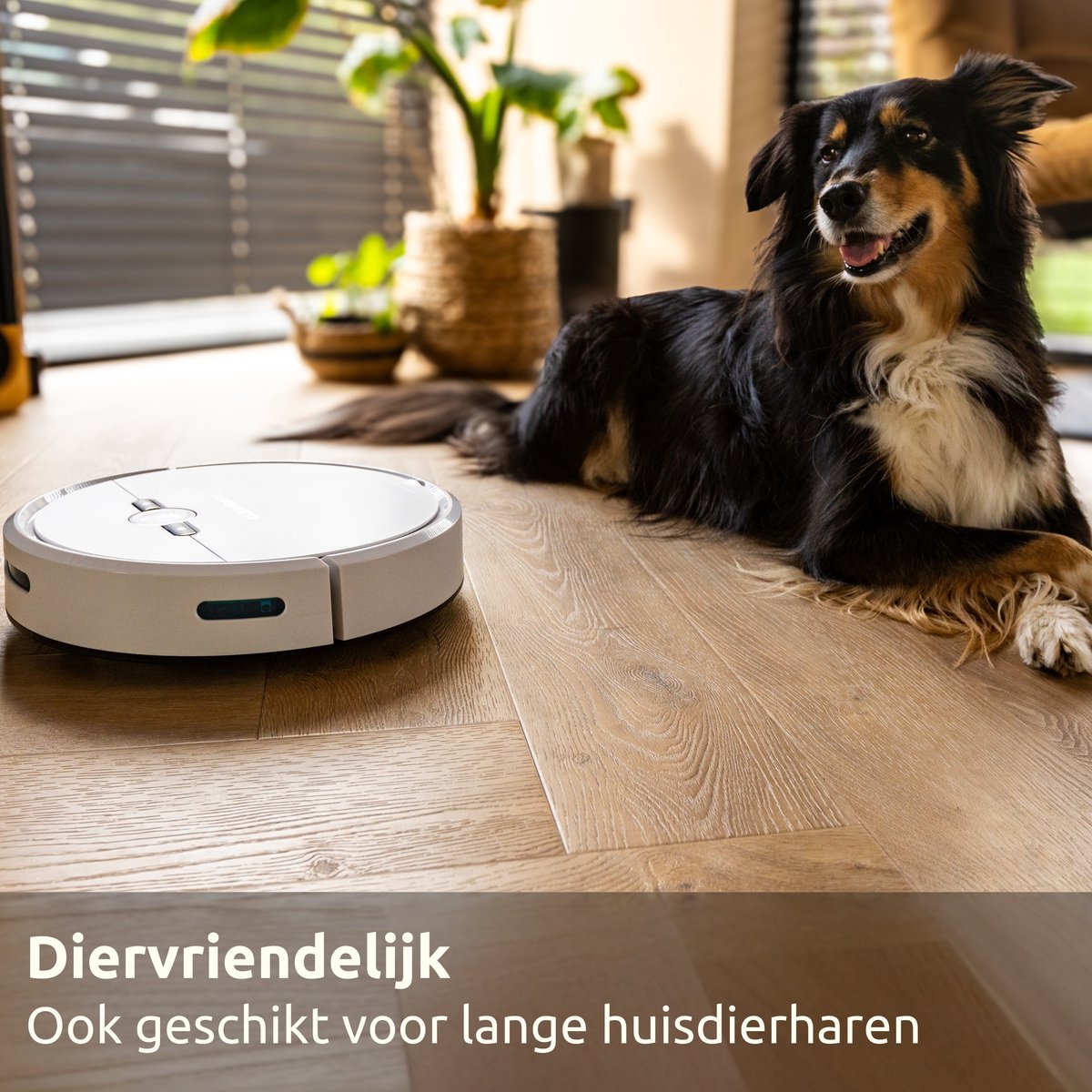 CleanDays Robotstofzuiger met dweilfunctie - Slimme navigatie - Dweilrobot - Robotstofzuiger met laadstation - Werkt met huisdieren - Inclusief Nederlandstalige app & afstandsbediening - D2-001 — afbeelding 6