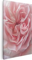 Artaza Canvas Schilderij Close Up van een Roze Roos - 20x30 - Klein - Foto Op Canvas - Canvas Print