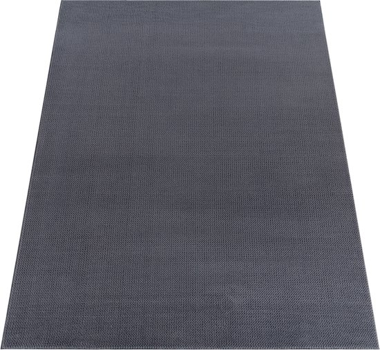 Paco Home Vloerkleed Woonkamer Laagpolig Patroon Scandinavisch Boho Patroon Geometrisch, Maat:160x220 cm, Kleur:Antraciet 6