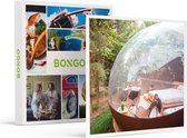 Bongo Bon - 2 DAGEN ONDER DE STERREN IN EEN DOME VAN ARDENNE INSOLITE - Cadeaukaart cadeau voor man of vrouw