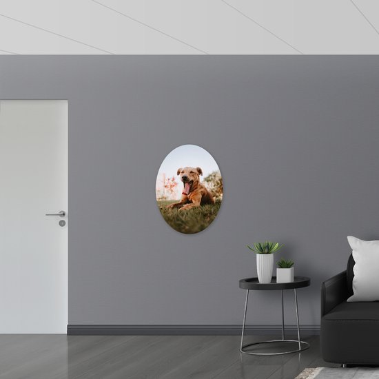 WallClassics - Dibond Ovale - Chien brun bâillant - Photo 60x80 cm sur ovale (avec système de suspension)