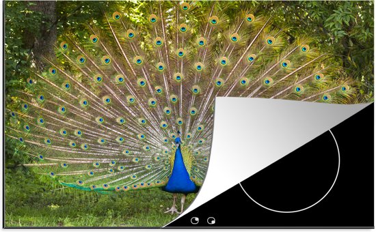 MuchoWow Inductiebeschermer - Inductie mat - Vinyl - Strand - Kleuren